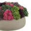 Sedum Arrangement in Fiberstone Planter-1930993477