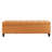 Avera Storage Bench-448354285