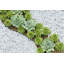 Landscape & Nature Vase Filler-48897051