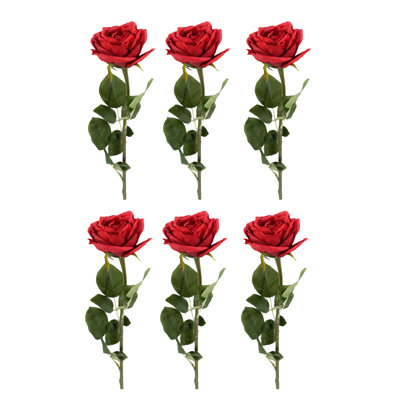 Arrangement de roses
