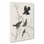 Starling by John Audubon - Wrapped Canvas-55323829