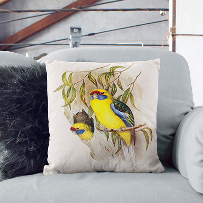 Square Throw Cushion