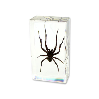 Rainville Animals Figurines & Sculptures