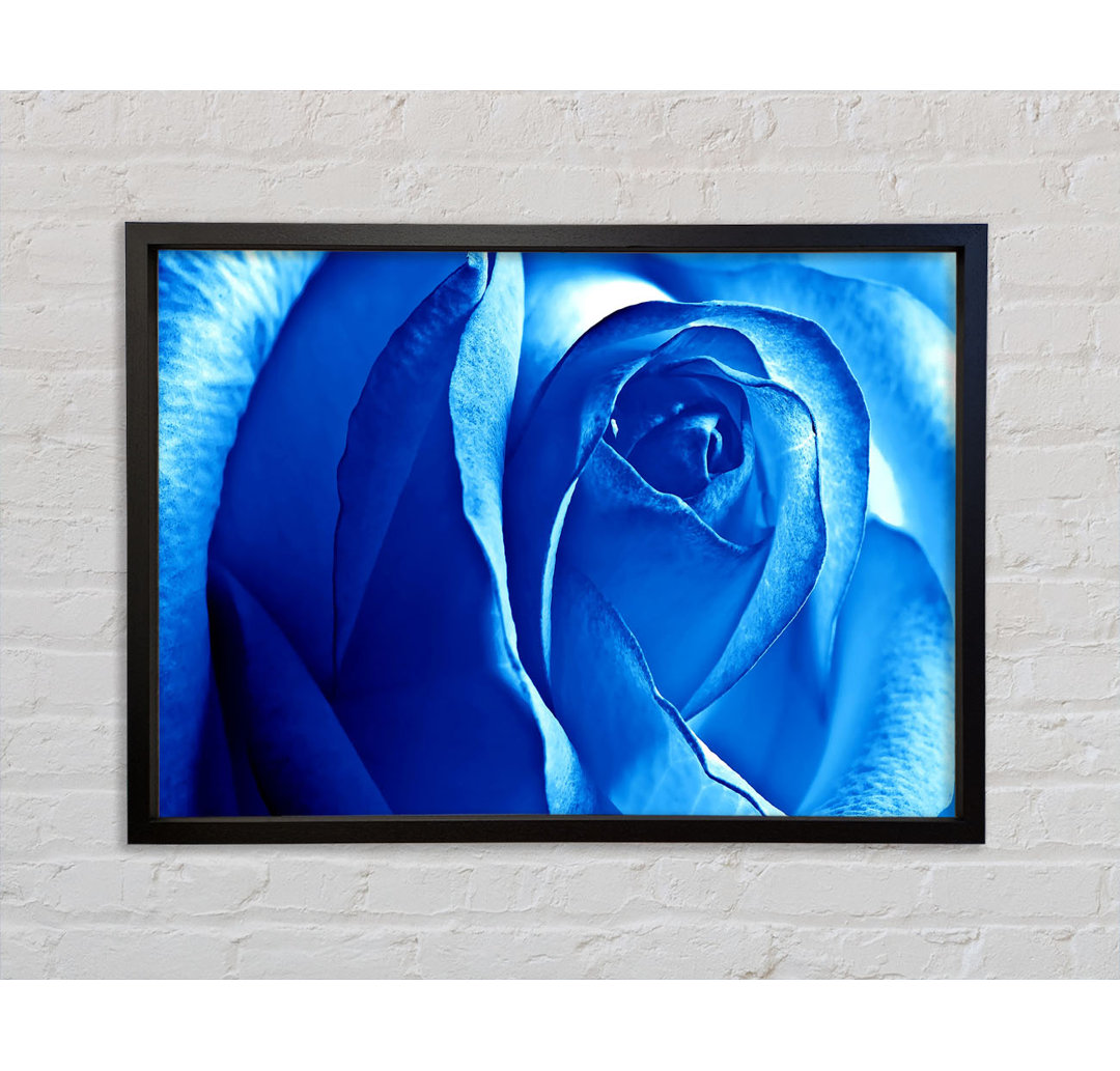 Leinwandbild Blaue Rose - Blumen