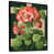 Toile avec cadre flottant noir