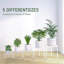 Raequel Plant Stand
