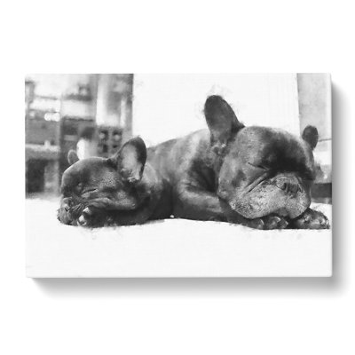 Two French Bulldogs - Wrapped Canvas Print