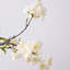 Lifelike Wild Cherry Blossom White Blooms in Large Amber Ball Vase Large Everyday Faux Floral Water Illusion Arrangement