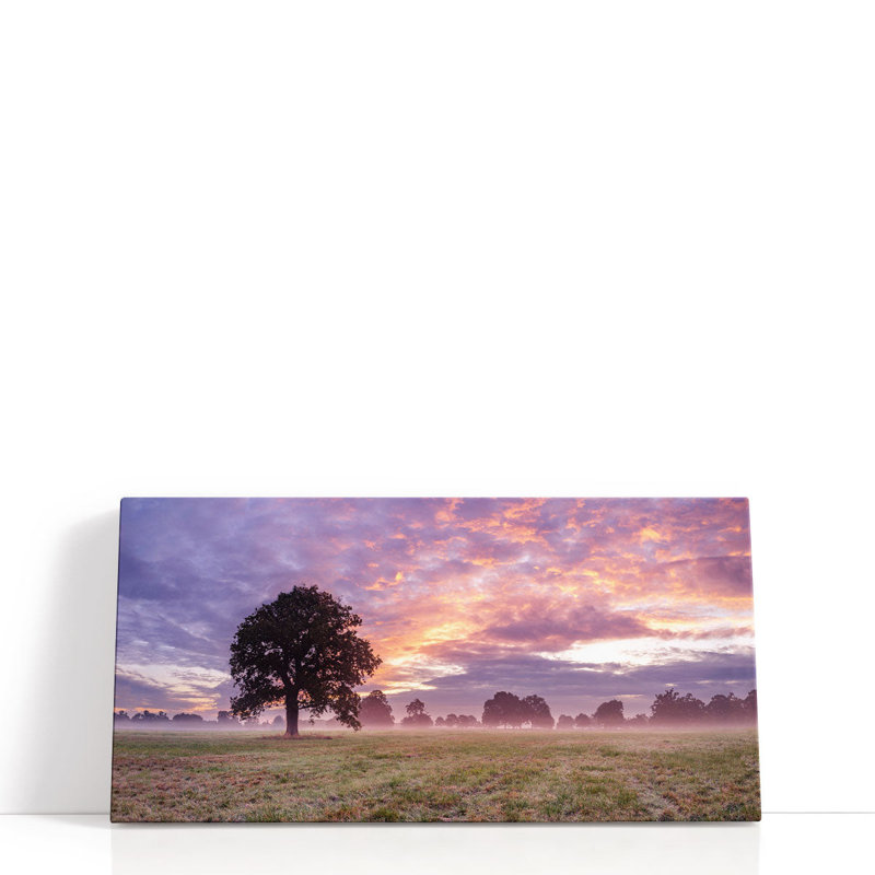 Arbre dans un champ au lever du soleil - reproduction d'art sur toile, H 30 po x l 60 po
