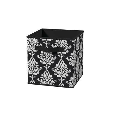 Closure Decorative Box Latitude Run Color: Black