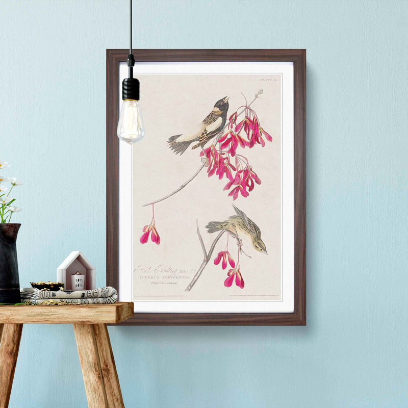 Rice Birds by John Audubon - Picture Frame Painting Print, Walnut Framed, 36cm H x 27cm W x 2cm D