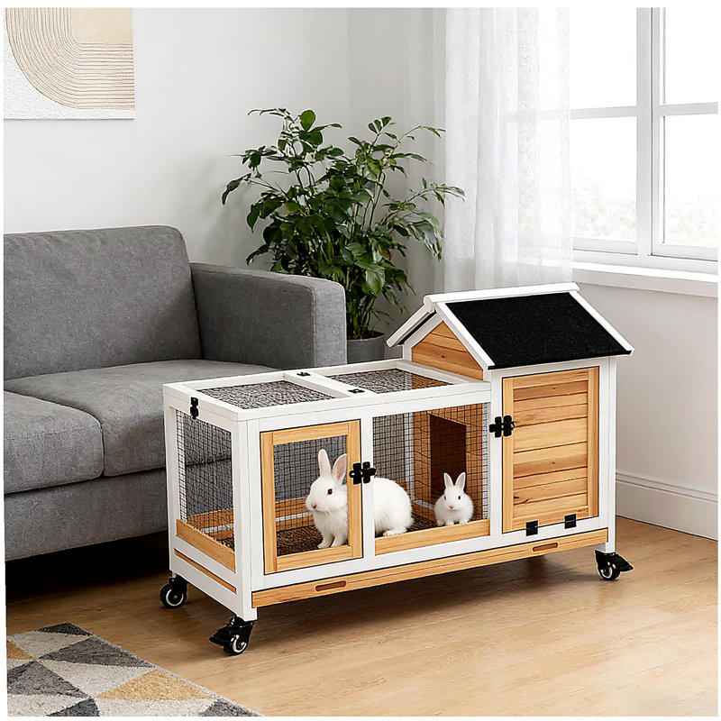 Cage pour animal de compagnie, cage à lapin en bois