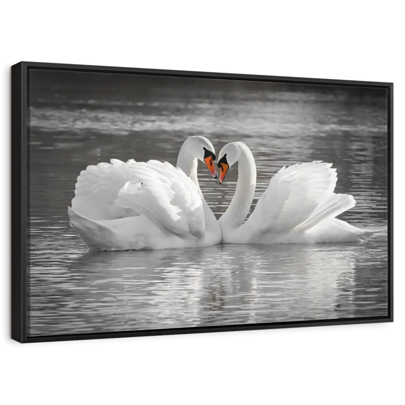 Couple de cygnes amoureux, Cadre flottant noir, 37 po x 25 po