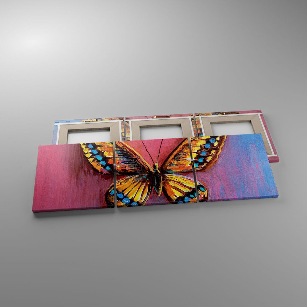 3-tlg. Leinwandbilder-Set Butterfly Colorful Painted