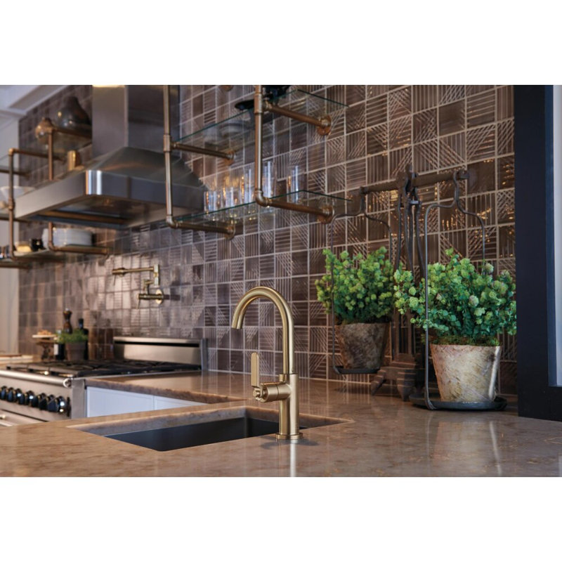 Euro Linear Wall Mount Pot Filler, Luxe Gold