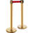 VEVOR 35'' H x 79'' W Stanchion System