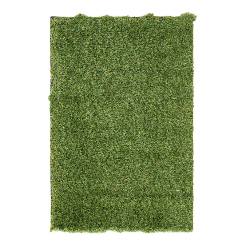 Cathlyn Indoor / Outdoor Rug, Rectangle 2' x 3'1"