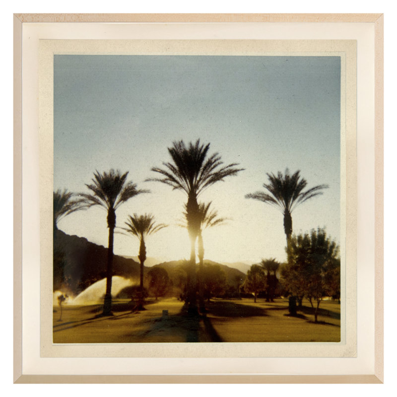 Palm Trees Print by Bainbridge, Hope, 30" H x 30" W
