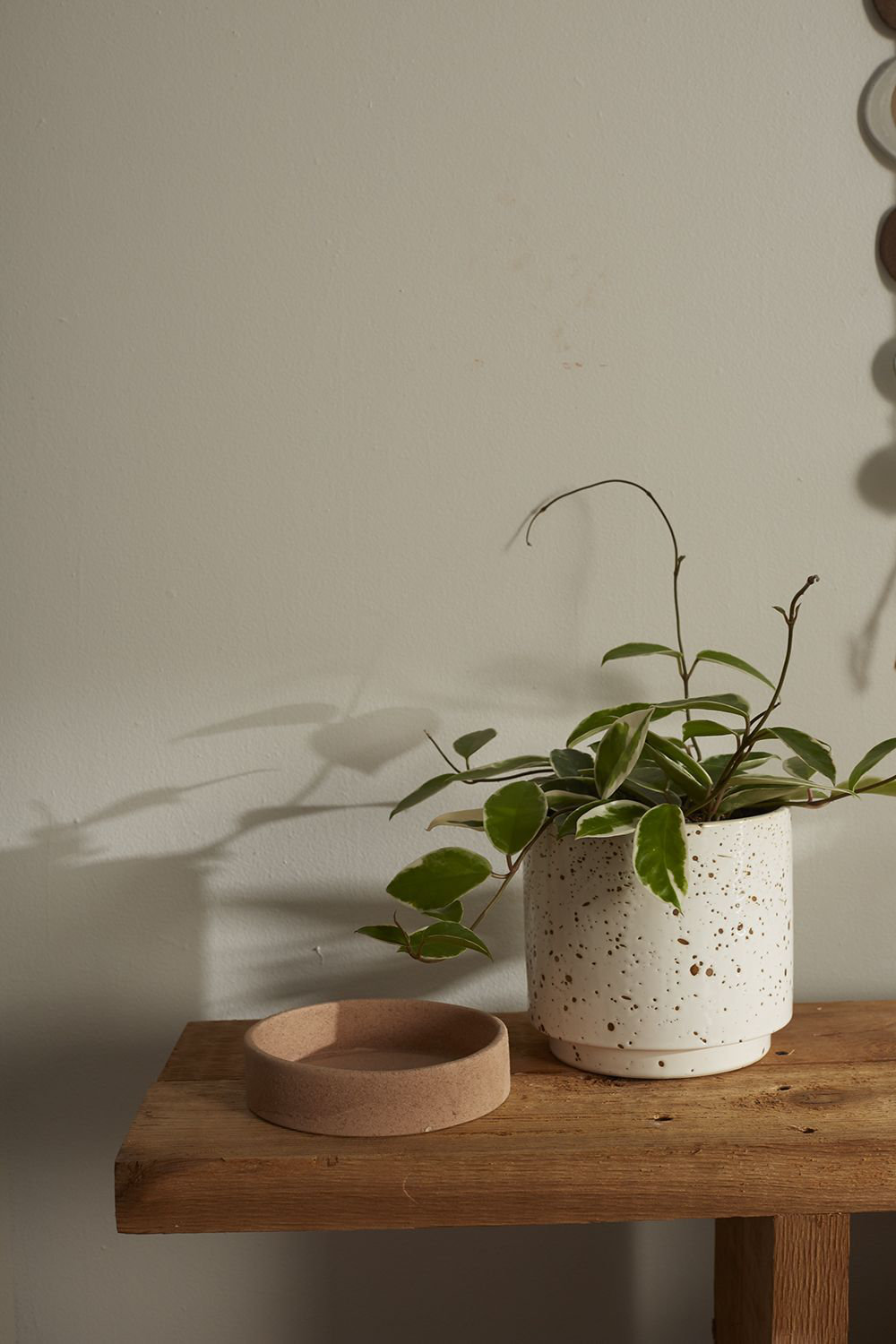 Kaesha Handmade Ceramic Pot Planter, 6.75" H x 6.5" W x 6.5" D