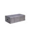 Elias Metal Trunk Coffee Table