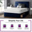 Hayder Divan Bed Base-258502069-158158412-158155189