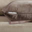 Housse de coussin en velours mat 1pc-126007404-126007427