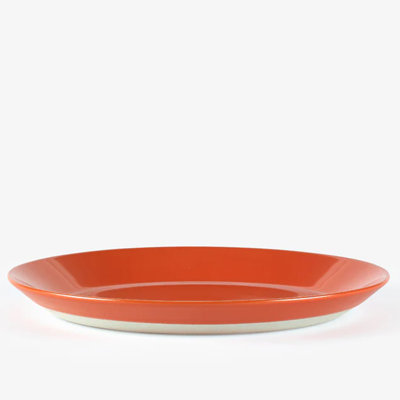 Sur La Table Colour Me Happy Dinner Plate