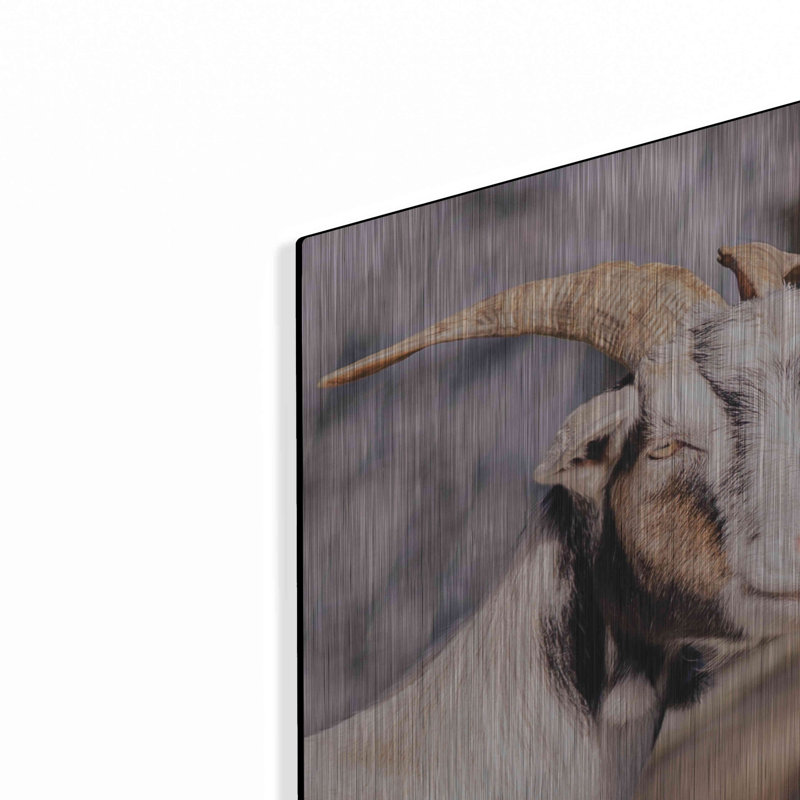 «Brown Goat» par Donnie Quillen, H 12 po x l 12 po