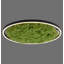 5-Light 35cm Flush Mount