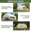 20 pi L 20 pi. Pergola tente D Party-126561896
