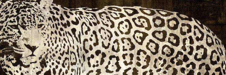«Leopard Encounter» par Darren Davison - impression sur toile tendue, H 18 po x l 26 po x P 0,75 po
