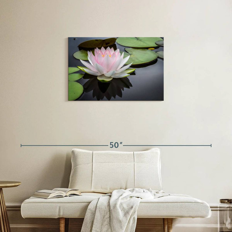 Lotus blanc rosé Harnek, H 20 po x l 30 po
