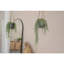Gray Fiberstone Hanging Pot-720310229-721407308
