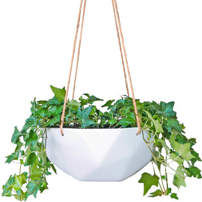 Hanging Planter