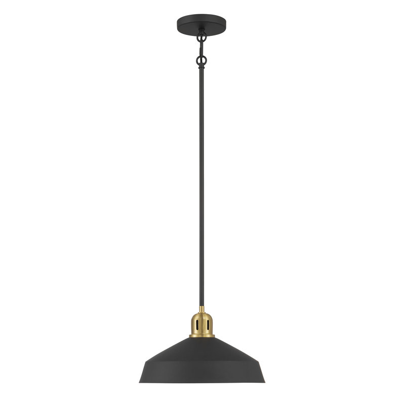 Luminaire suspendu 1 lumière Axlen