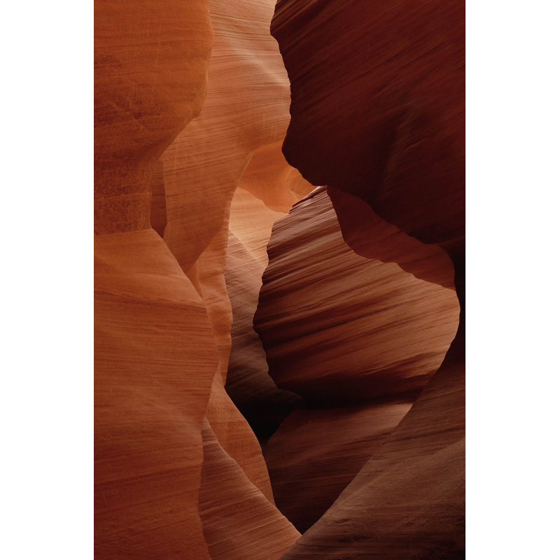 Art of Nature 007 - No Frame Rectangle Print on Metal, 148cm H x 98cm W 