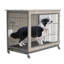 Cage pour chien-358086767-366978643