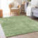 Premium Machine Washable Prisco Green Rug