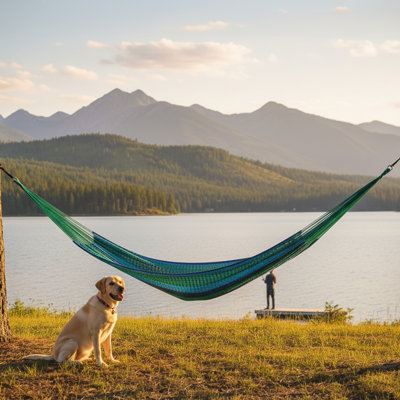 2-Person Cotton and Nylon Mayan Family Hammock