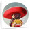 Mon taco, mon ami