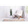 Walmoor Ikat Indoor Rug