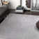 Mcclain Silver/Grey Shag Soft Area Rug