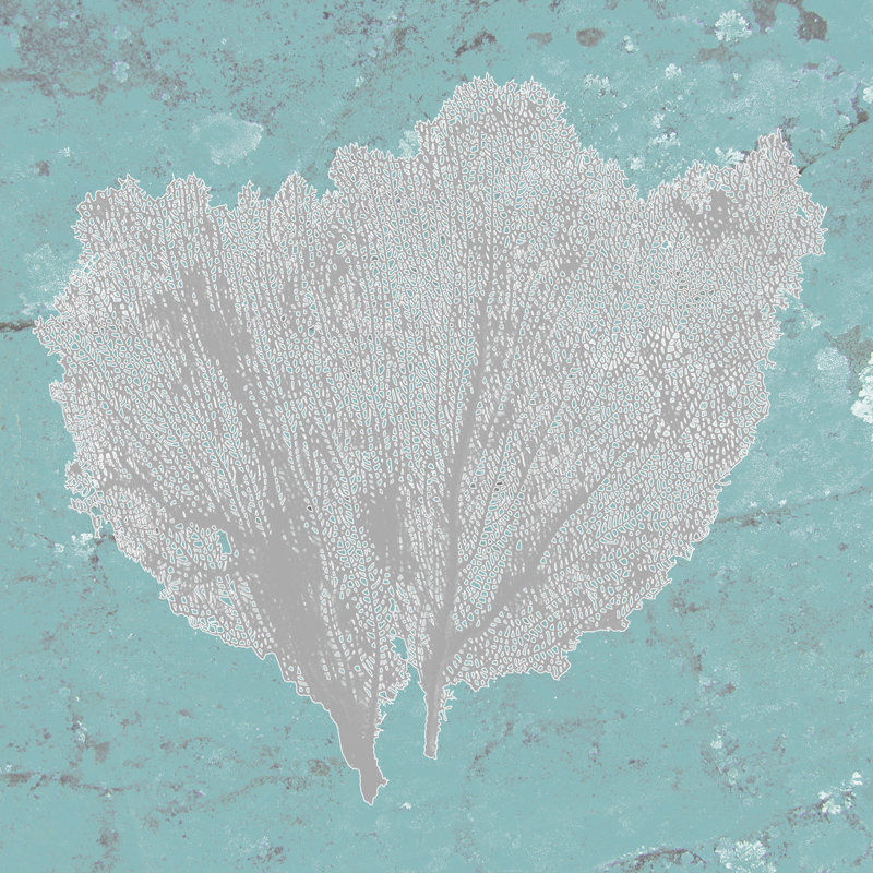 Graphic Sea Fan IV - Wrapped Canvas Print, 122cm H x 122cm W
