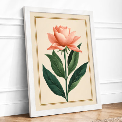 Coral Rose Study Botanical - Print