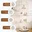 Display Cabinet-640038382