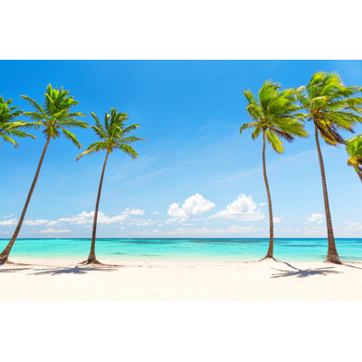 Coconut Palm Tree - Wrapped Canvas Print