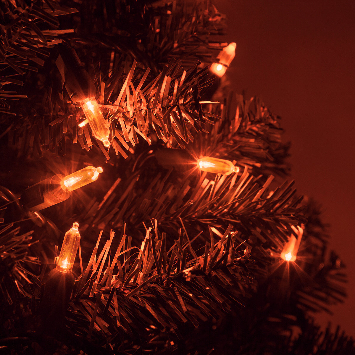 25.5' Steady LED String Lights, Orange