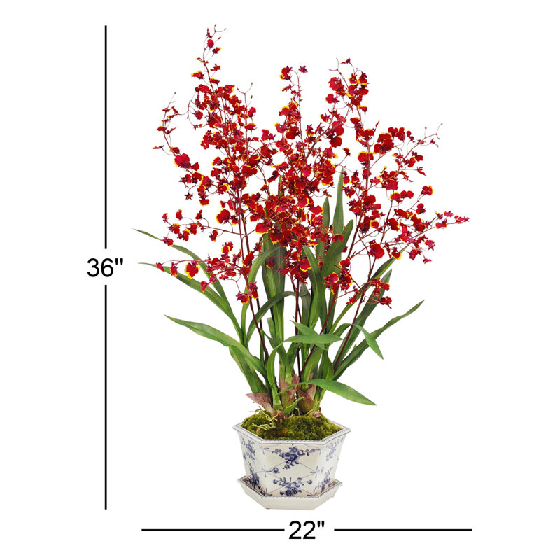 Oncidium Orchid In Cache Rose Trellis Pot