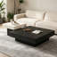 Dizon-501945346