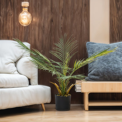 Plant